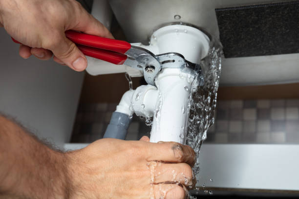 Best Ceiling water damage repair  in Lan, MI