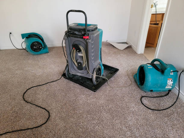 Best Local water damage restoration  in Lan, MI