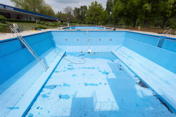 Best Mold removal after water damage  in Lan, MI