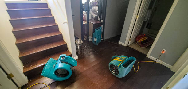 Best Flood restoration services  in Lan, MI