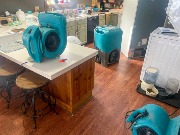 Best Emergency water damage restoration  in Lan, MI