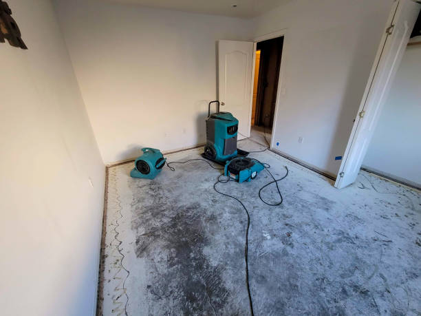 Best Mold removal after water damage  in Lan, MI