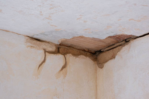 Professional Water damage restoration in MI