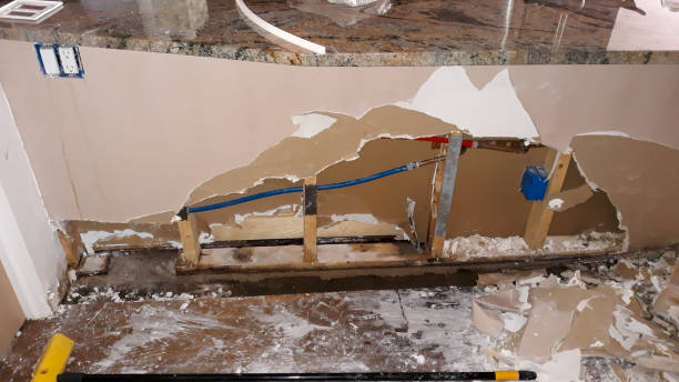 Best Water damage restoration experts  in Lan, MI