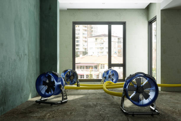 Best Ceiling water damage repair  in Lan, MI