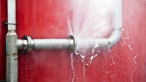 Best 24-hour water damage restoration  in Lan, MI